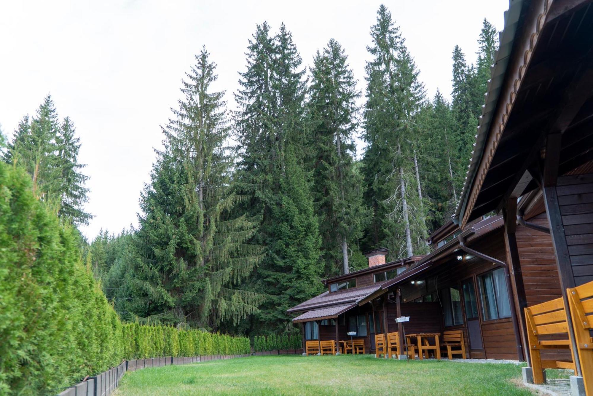 Почивна Станция Сомат Villa Dospat Buitenkant foto